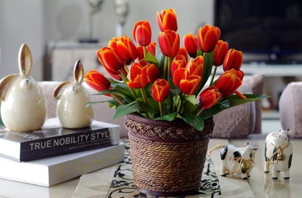 tulip table decorations