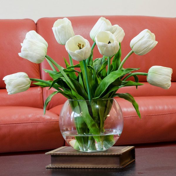 beautiful tulips