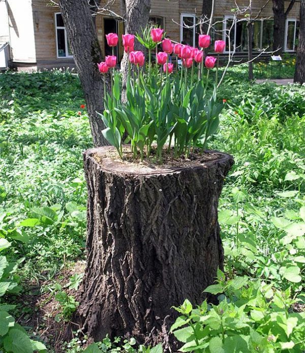 stump flower planter