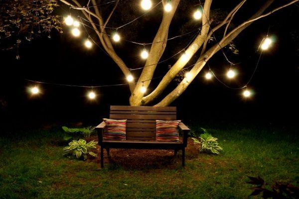 backyard string lights