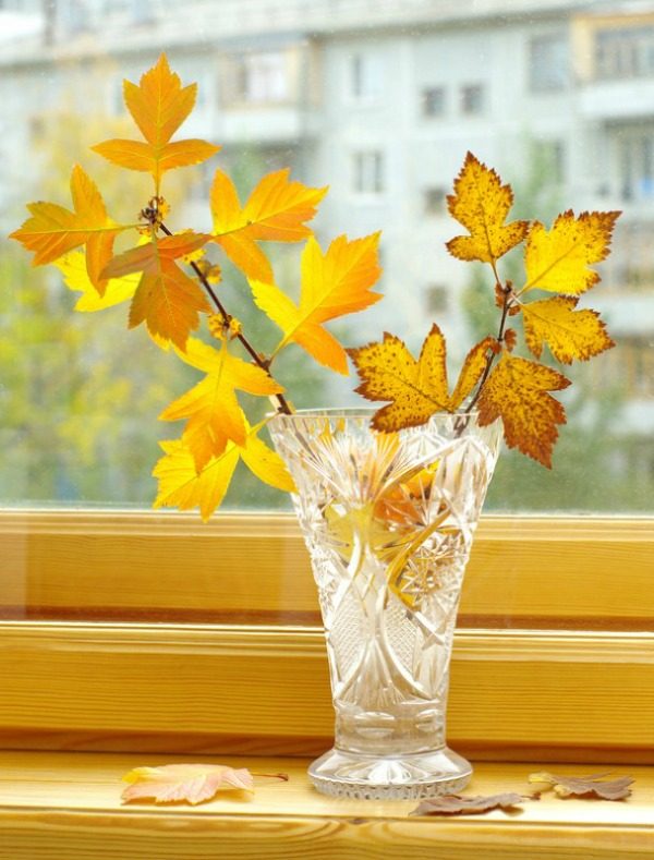 fall leaves decor