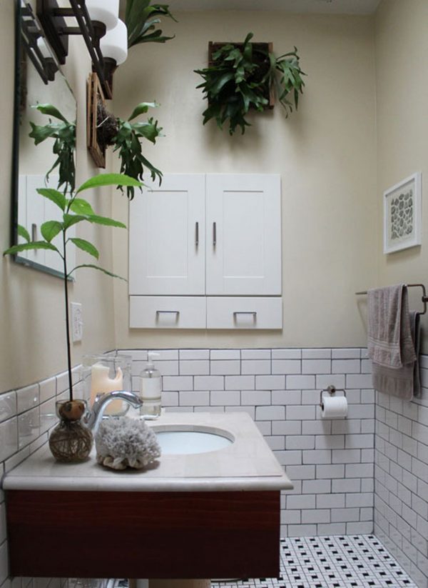 best plants for bathroom with no window 
