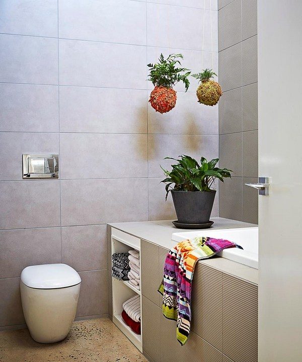 houseplants for bathroom