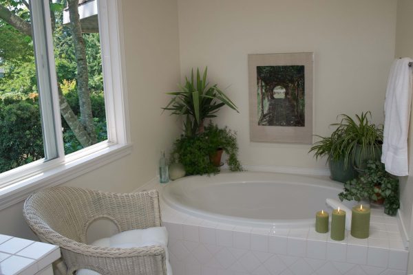 bathtub plants