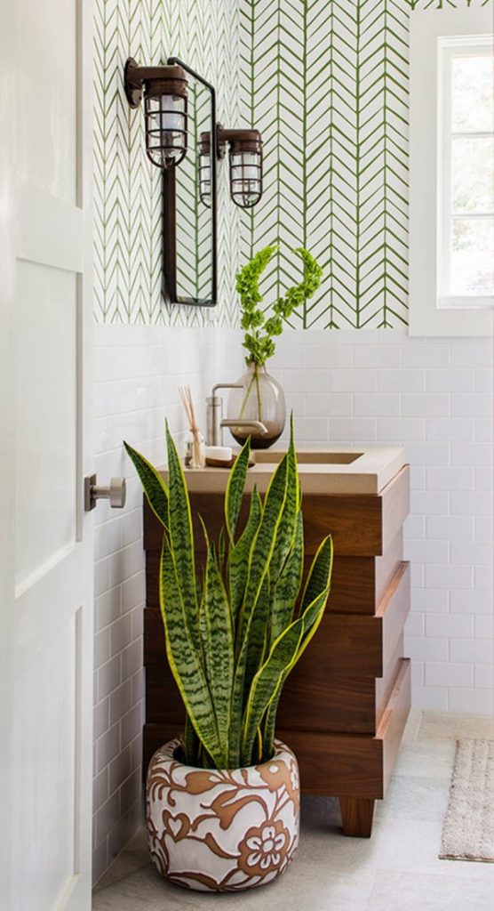 best plants for a bathroom