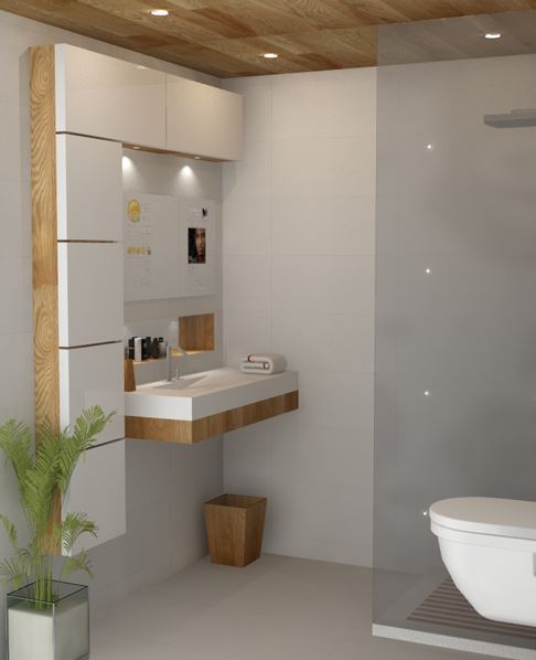 bathroom design ideas 9