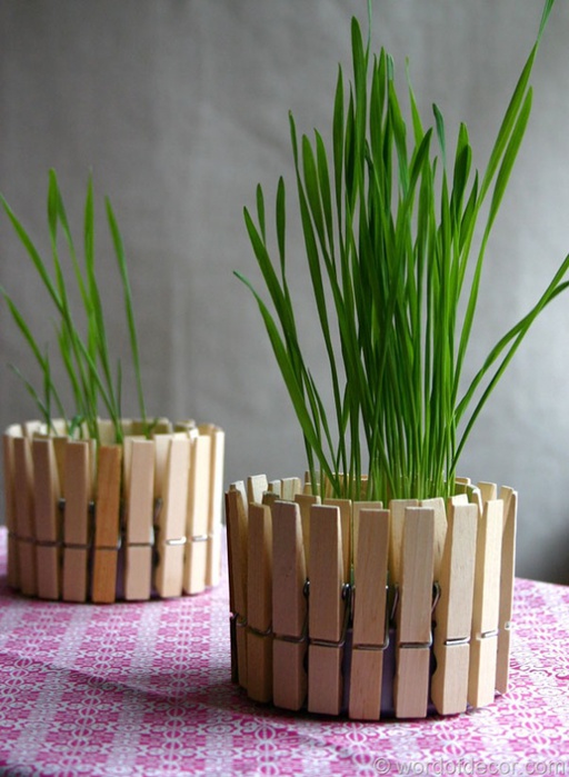 flower pots