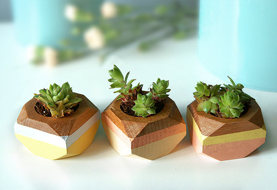 decorative flower pots 1