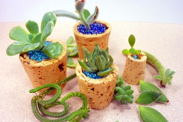 wine-cork-micro-planter