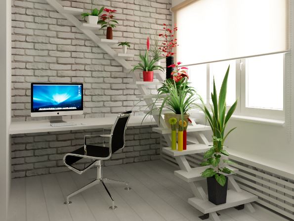 office plants