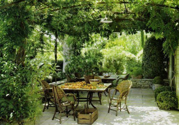 backyard pergola