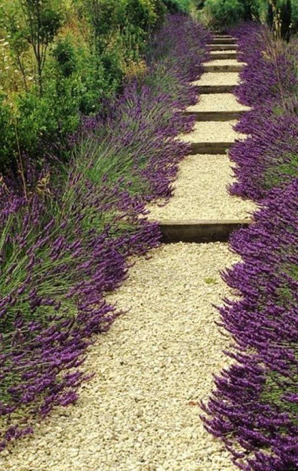 garden paths design