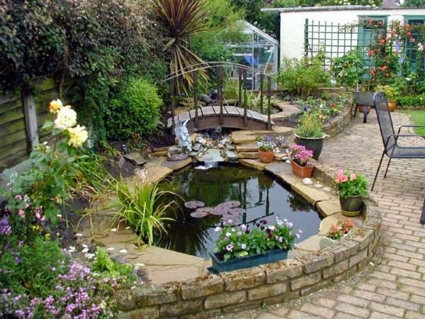 pond designs