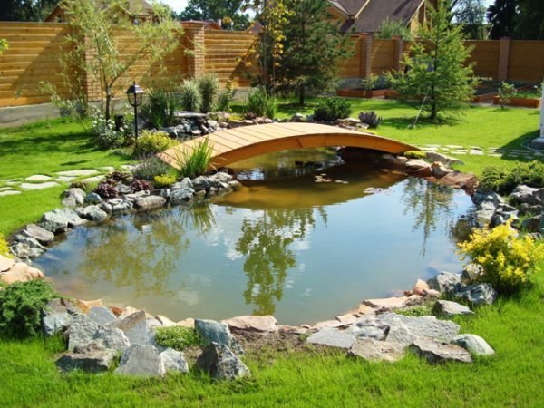 backyard pond ideas