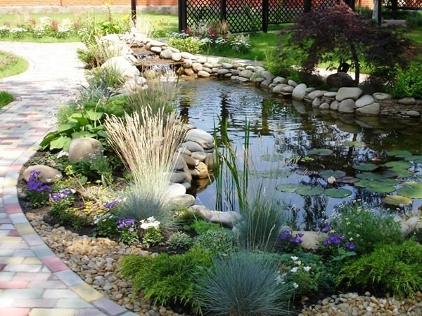 garden pond landscaping