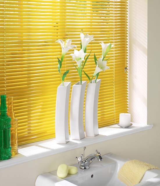 bathroom window blinds