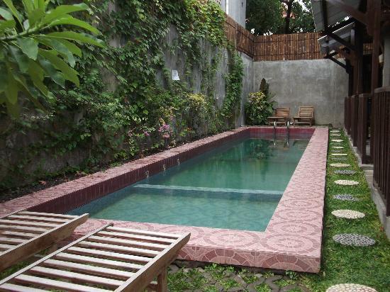 backyard swimming pools