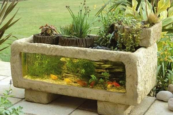 Outdoor aquarium