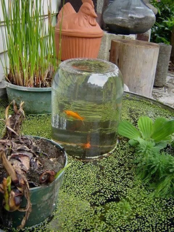 diy aquarium projects