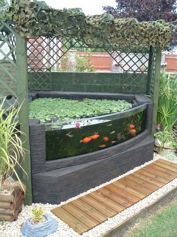 aquarium decoration ideas