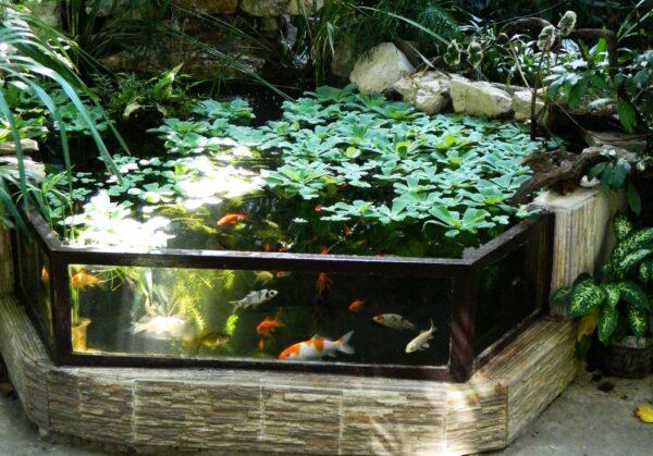 outdoor aquarium