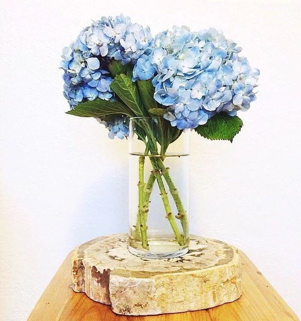 flower decorations
