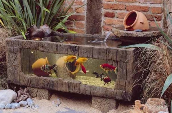 aquarium design ideas