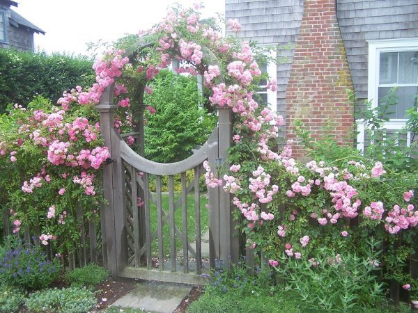 front garden gates