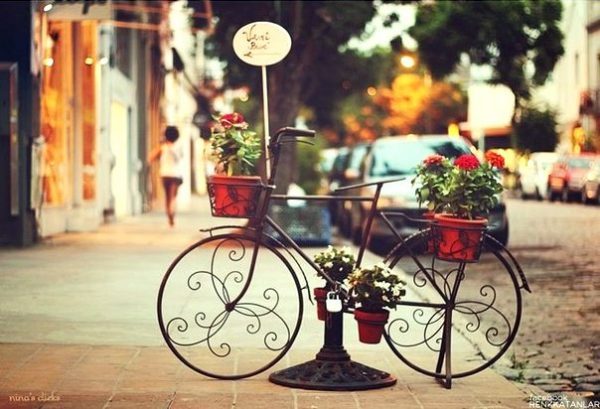 bicycle plant stands
