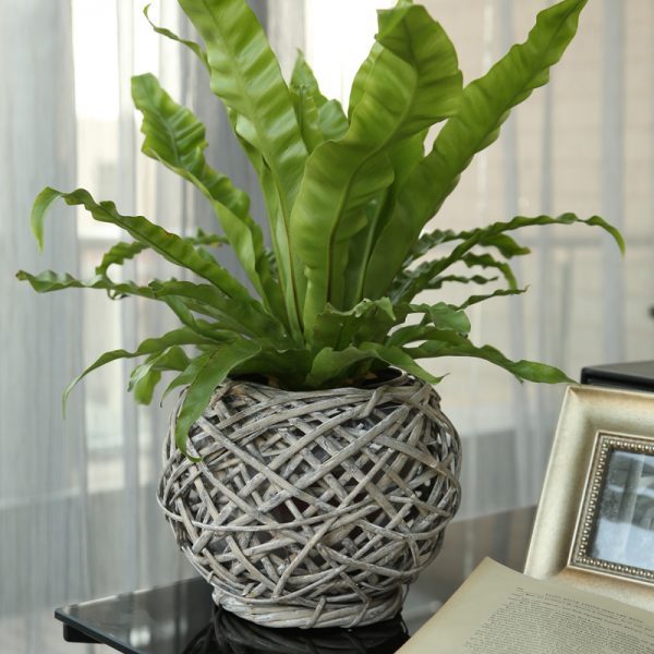 rattan vase