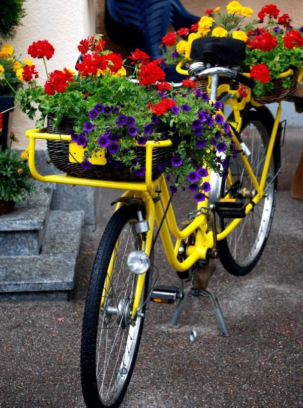 bicycle flower