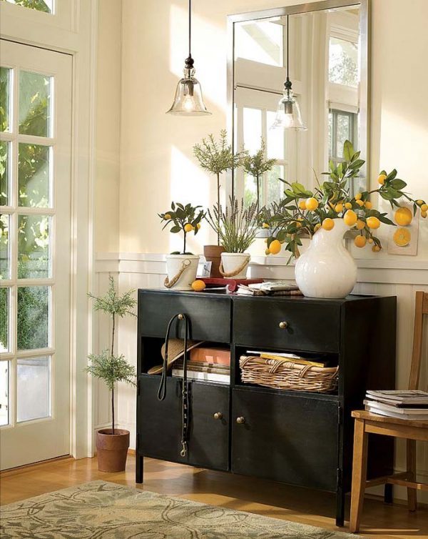 Indoor lemon trees
