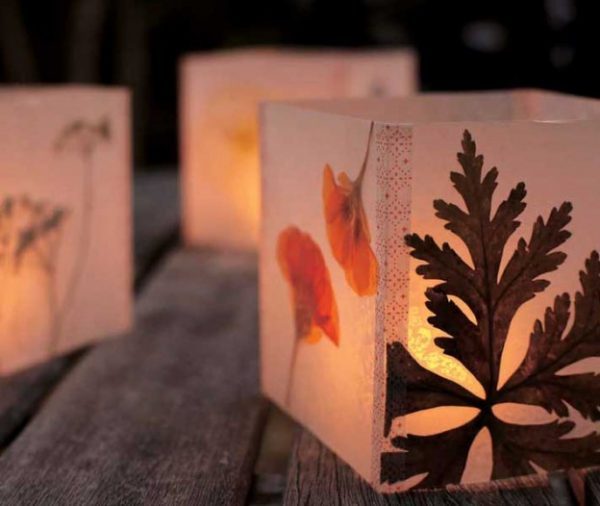 decorating with dried flowers