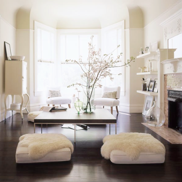 fur decor