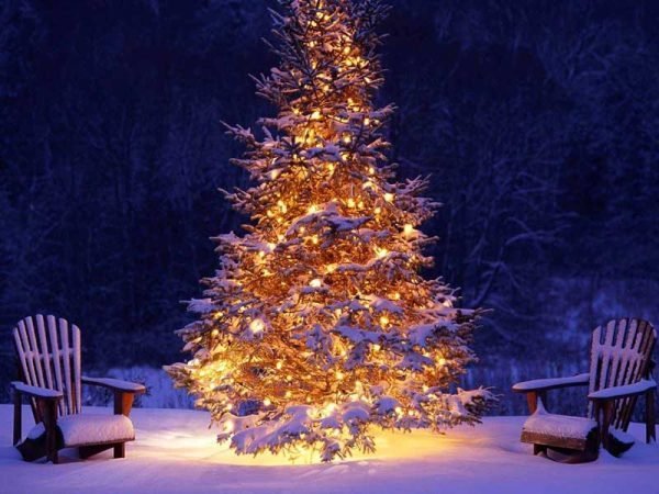 outdoor christmas decoration ideas 