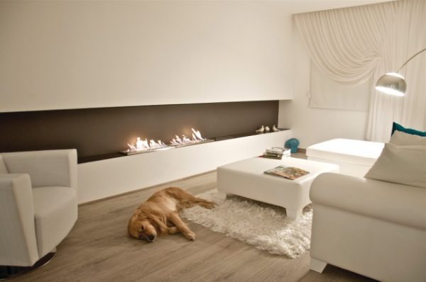 bio ethanol fireplace insert 