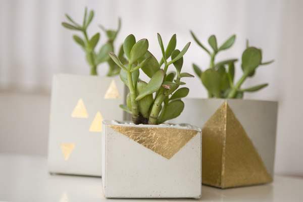 concrete plant pots 