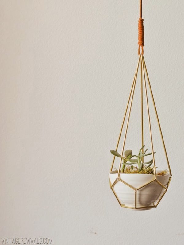 modern plant hangers 