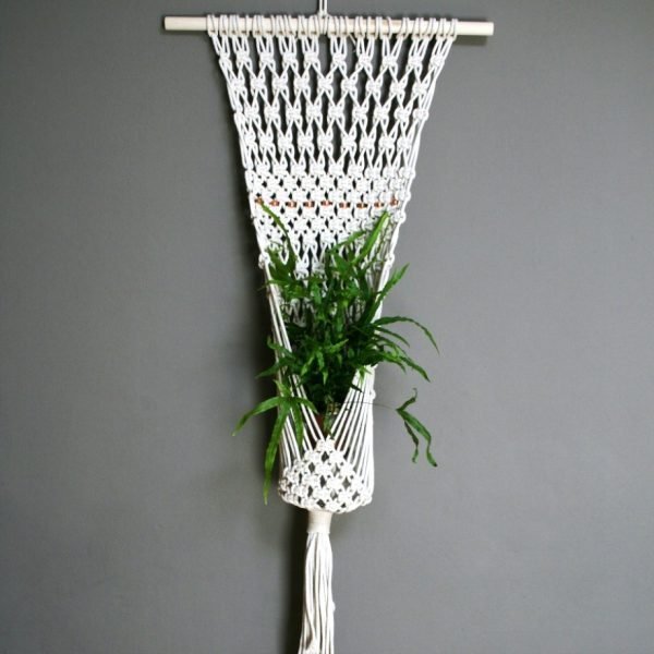 plant wall hanger