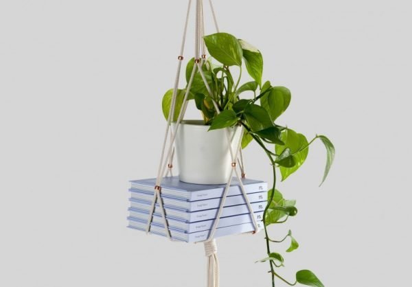 house plant hangers 