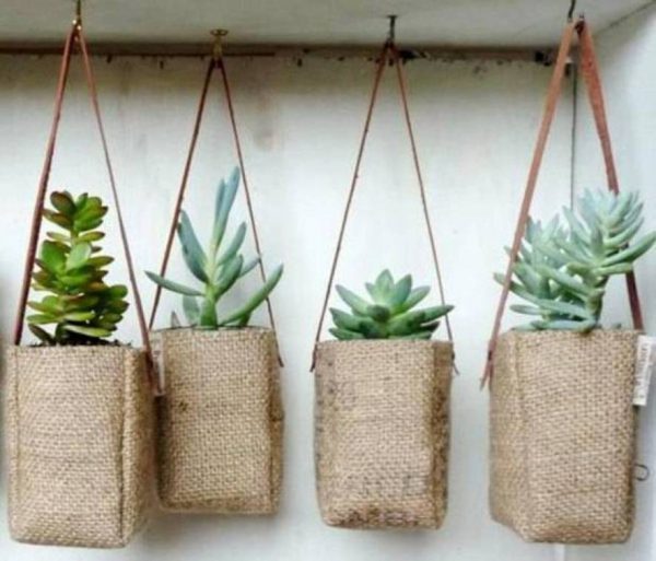 cool plant hangers 