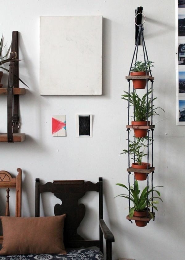 plant wall hangers