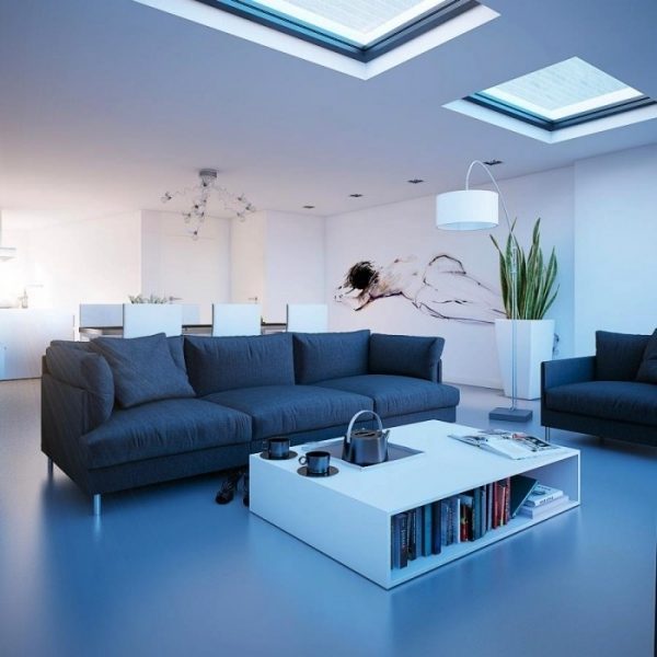 houses with skylights 