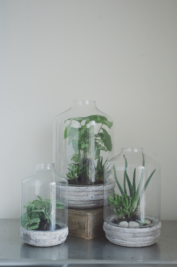 concrete terrarium 