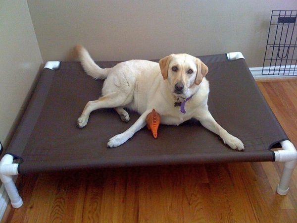 pvc pipe dog bed