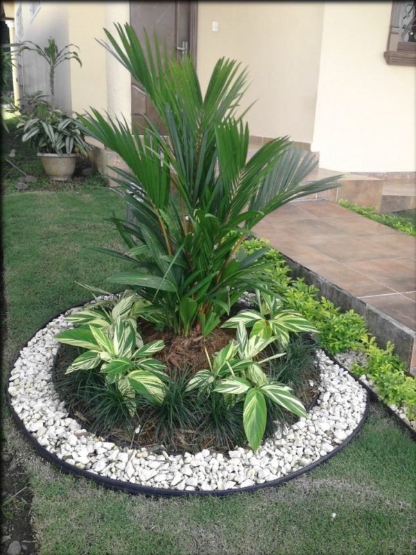 decorative stones for garden 