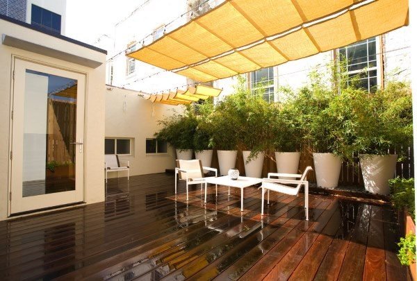 privacy fence with plants 