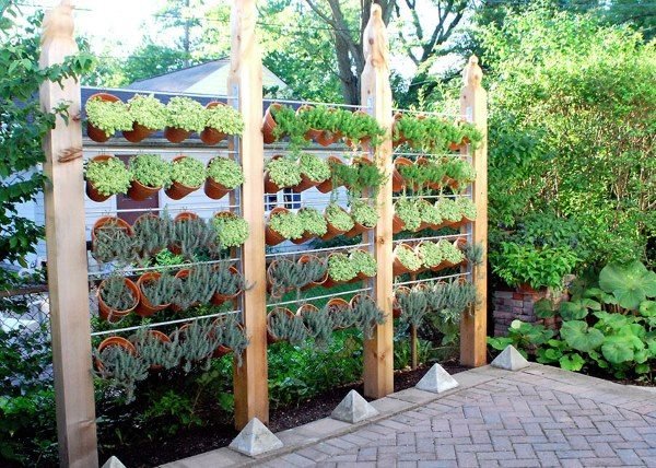 fence privacy 