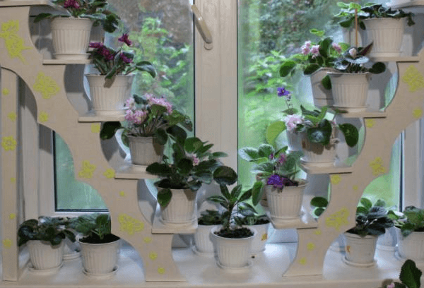 flower window 