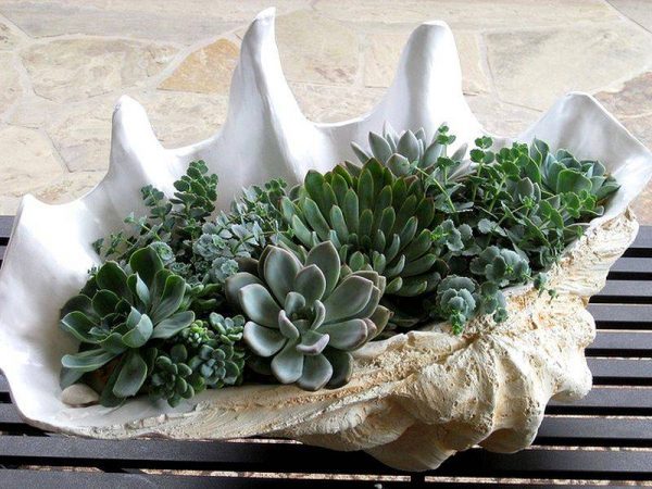 seashell outdoor planter 